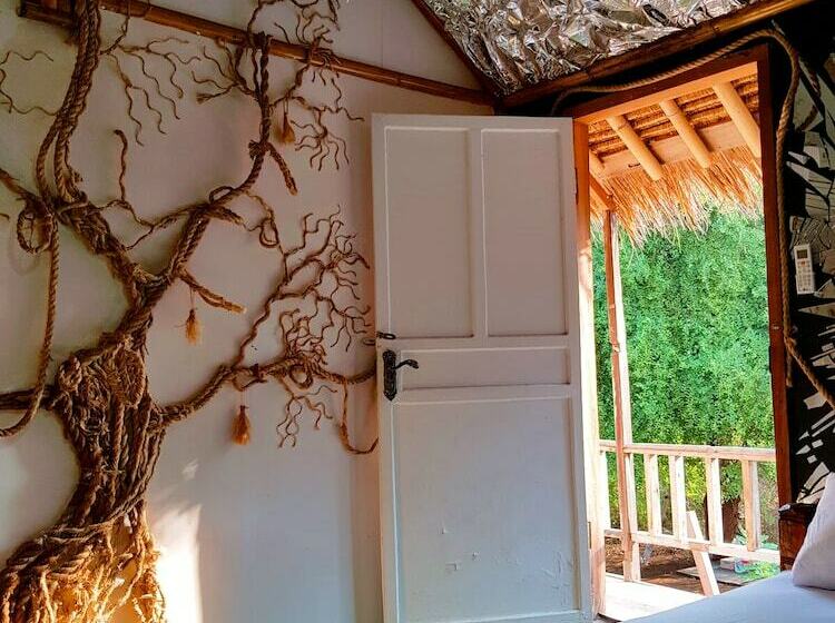 Номер Стандарт, The Rabbit Tree Hostel