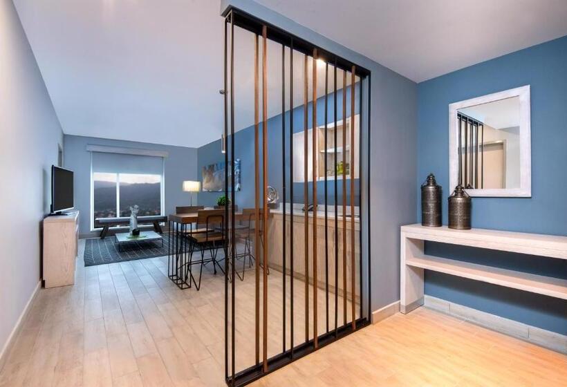 سوئیت با تخت بزرگ, Hyatt Place San Pedro