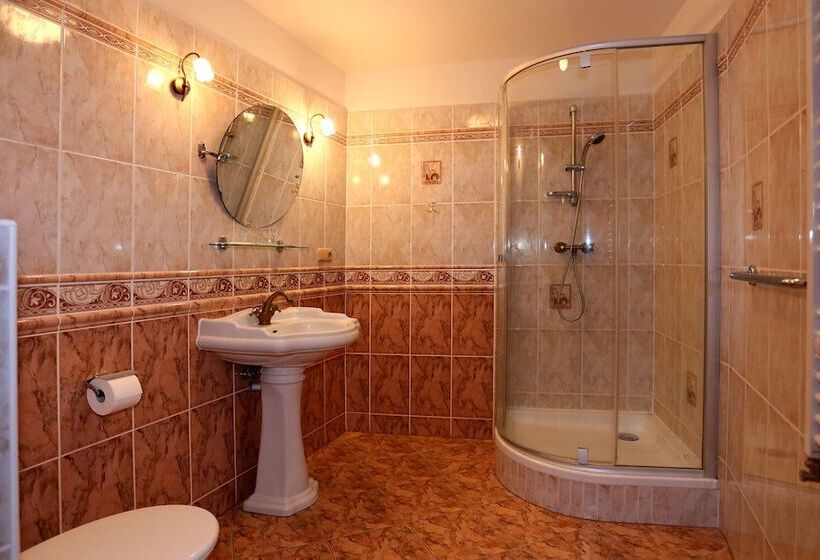 Номер Стандарт, Spa Hotel Purkyně