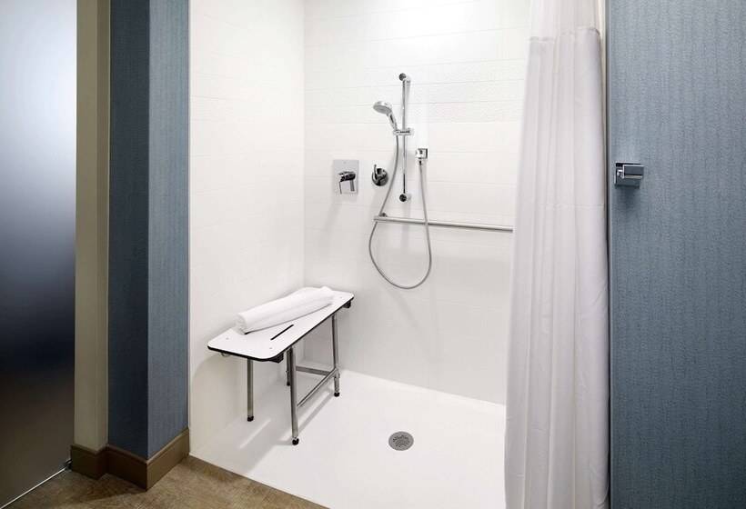 Люкс Адаптированный для Инвалидов, Cambria Hotel Phoenix Chandler   Fashion Center