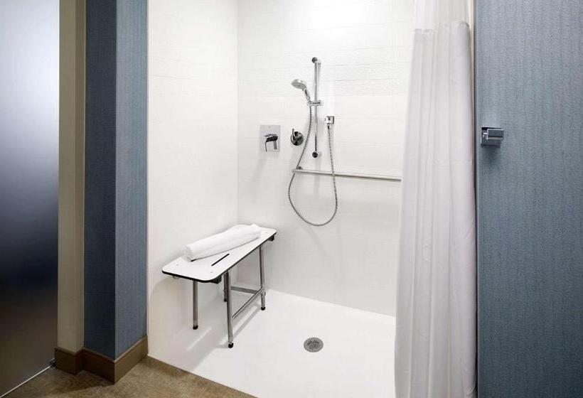 Люкс Адаптированный для Инвалидов, Cambria Hotel Phoenix Chandler   Fashion Center