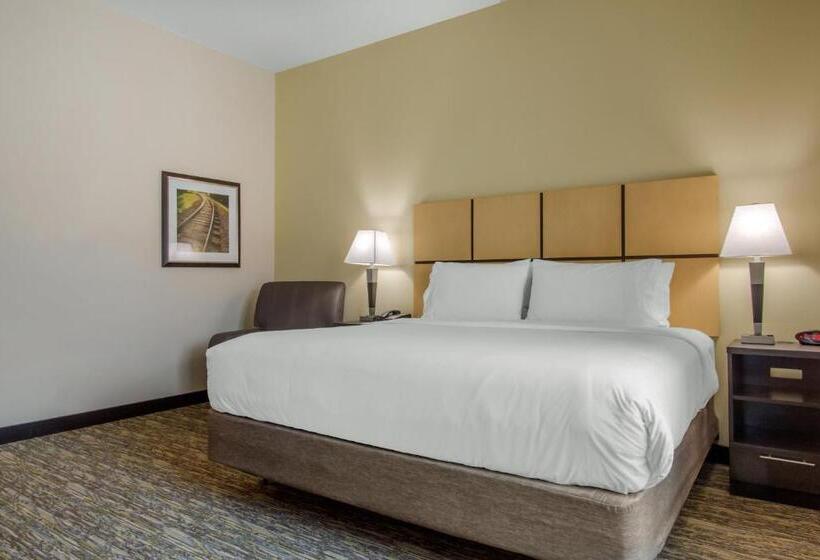 带大床的复式套间, Candlewood Suites   San Antonio Lackland Afb Area, An Ihg