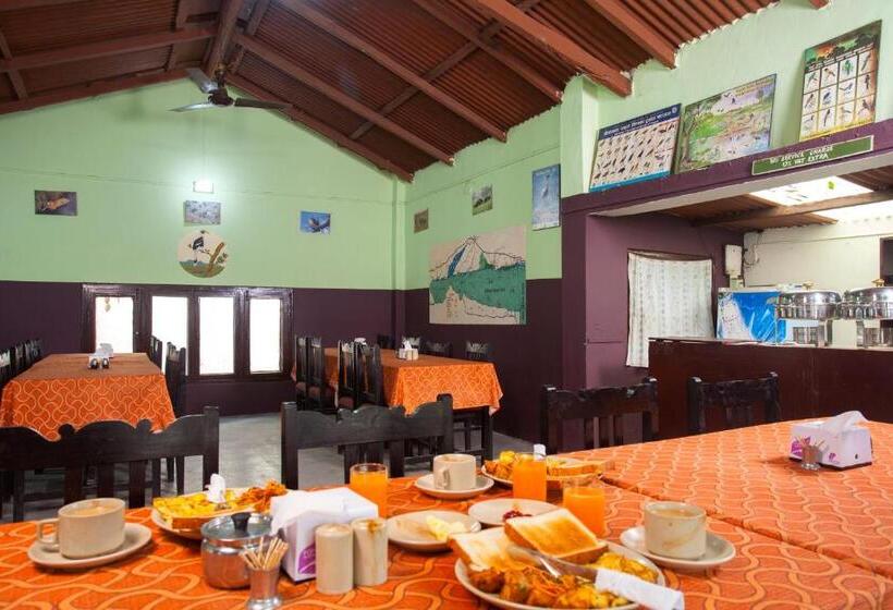 اتاق استاندارد با چشم‌انداز باغ, Sauraha Resort