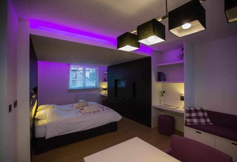 اتاق استاندارد با وان آب گرم, Wellness Hasselt B&b