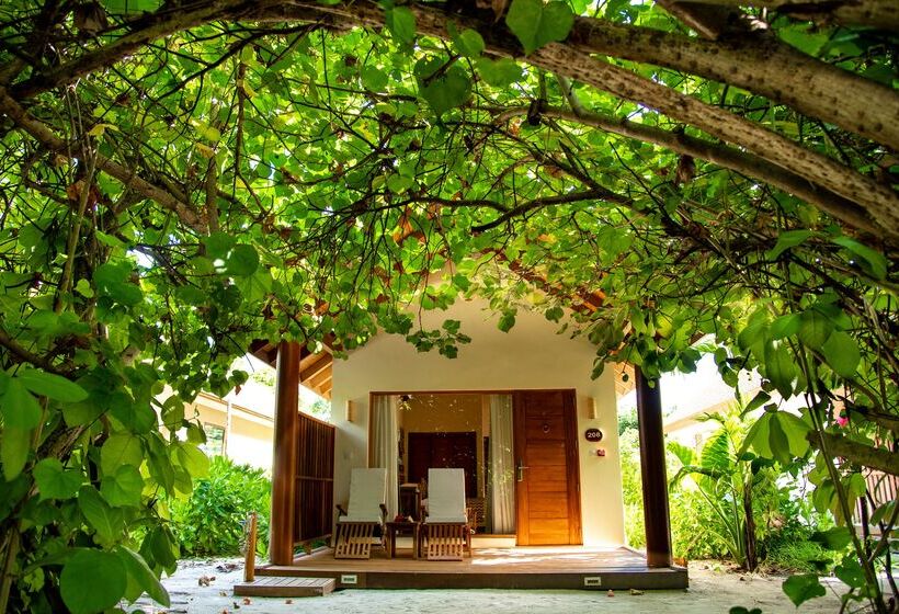ویلای 1 خوابه, Reethi Faru, Bio Luxury Resort
