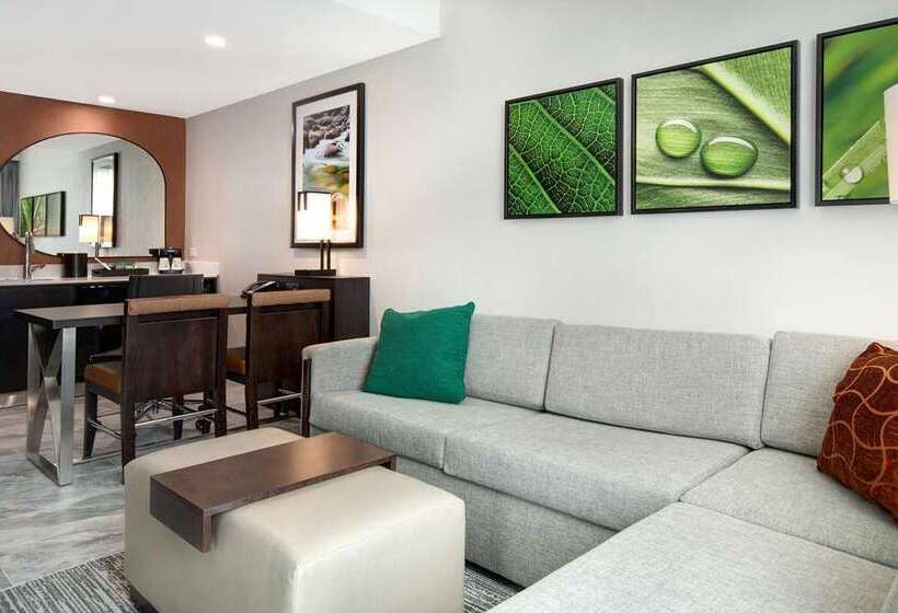 Люкс, Homewood Suites By Hilton North Charleston