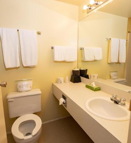 Одноместный Номер Basic, Keystone Motor Inn