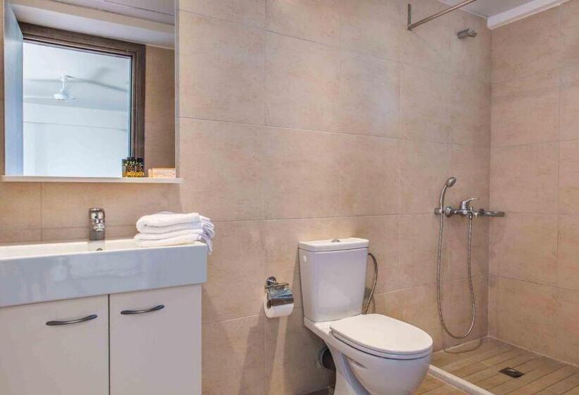 Студия Стандарт, Gerona Mare Apartments