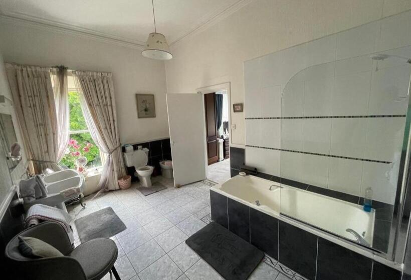 Номер Стандарт, Glenmore House B&b Mullingar