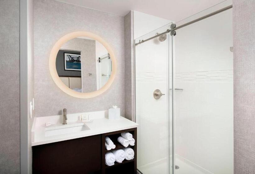 סוויטה עם מיטת קווין, Springhill Suites By Marriott Atlanta Downtown