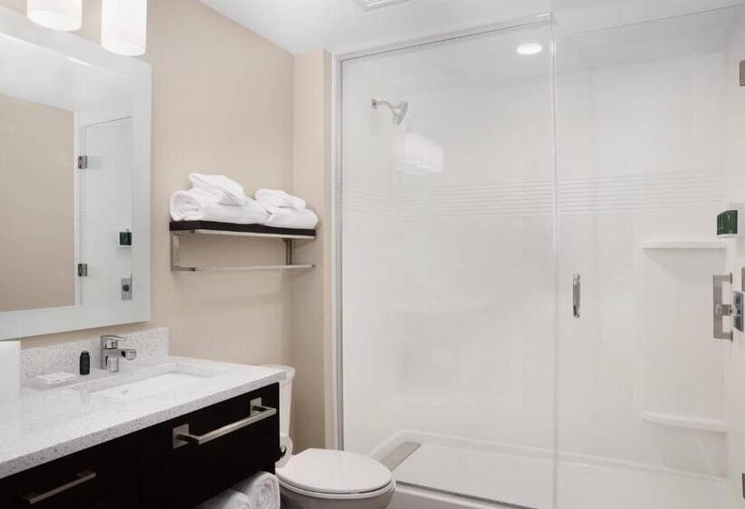 침실 2개 스위트, Towneplace Suites Orlando Lake Buena Vista/Palm Parkway