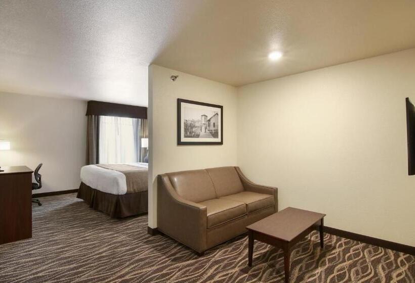 带大床的标准工作室, Cobblestone Inn & Suites   Menomonie/uw Stout