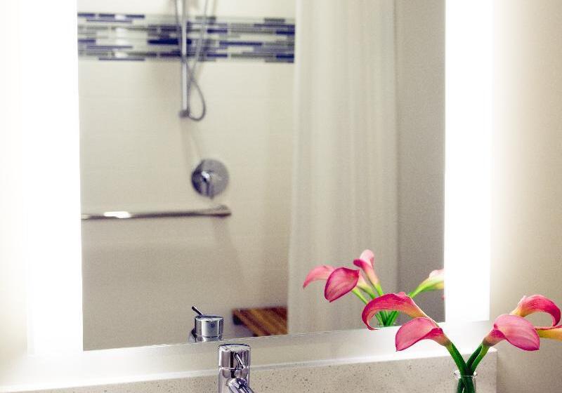 标准间, Even Hotel Seattle Downtown   Lake Union, An Ihg