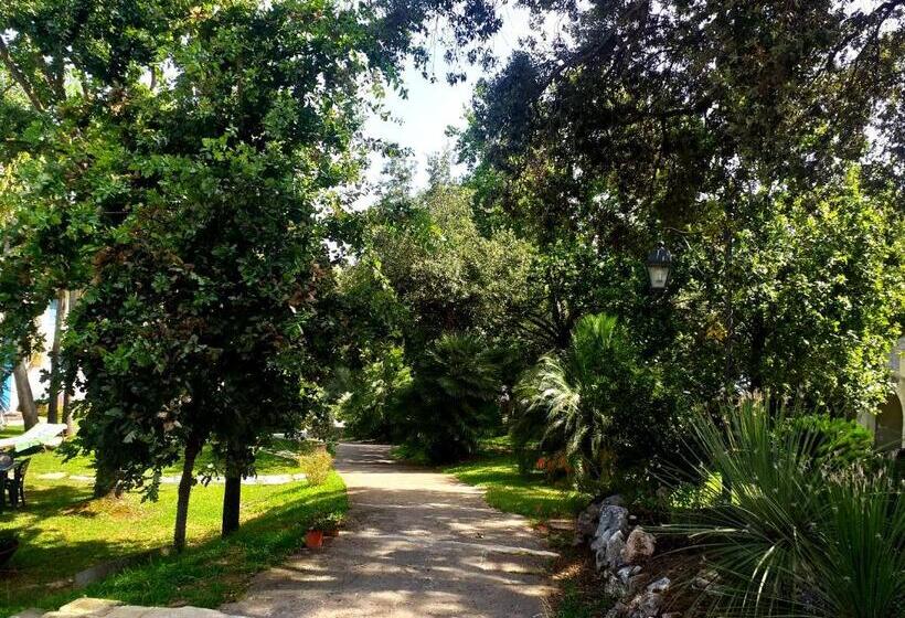 스탠다드 스튜디오, Baia D'oro