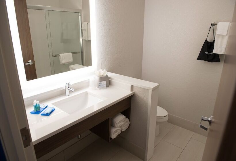适合残疾人士使用的套间, Holiday Inn Express & Suites   Merrillville, An Ihg