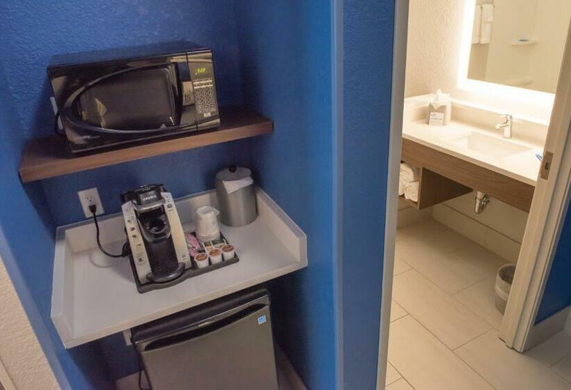带大床的套房, Holiday Inn Express & Suites   Merrillville, An Ihg