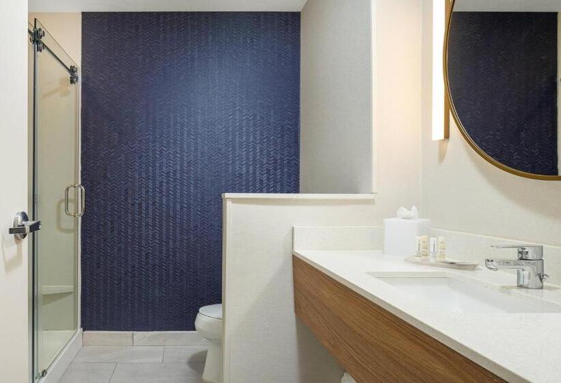 Люкс Executive Кровать Кинг, Fairfield Inn & Suites By Marriott Salina