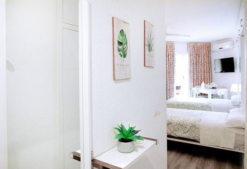 スタンダードスタジオ, Apartamentos Apal Chinasol