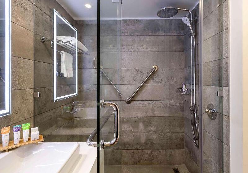 اتاق سوپریور با تخت بزرگ, Novotel Santiago Providencia