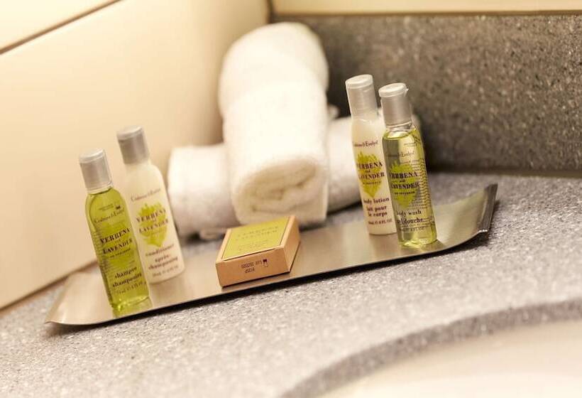 Семейный Номер, Hilton Garden Inn Doncaster Racecourse