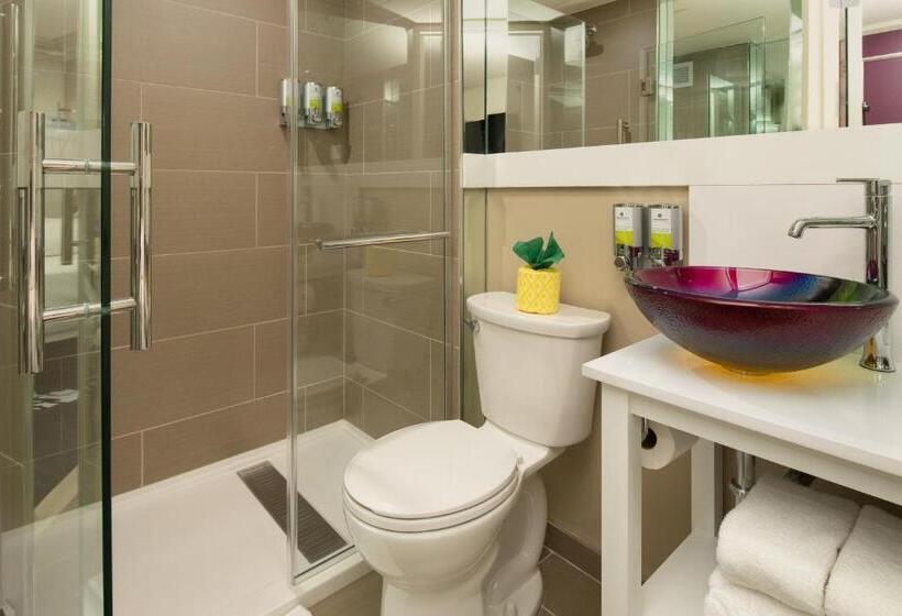 스탠다드 룸 킹사이즈 침대, Staypineapple, An Artful Hotel, Midtown New York