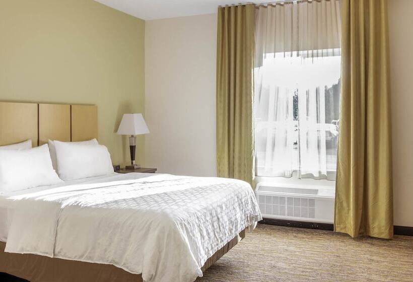 Люкс, Candlewood Suites   Brighton, An Ihg