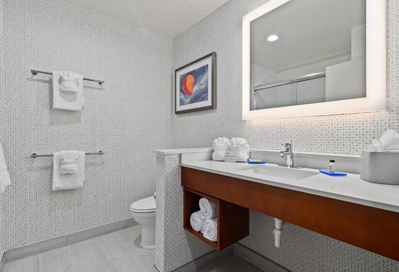 Номер Стандарт, Holiday Inn Express & Suites Orlando  Lake Buena Vista, An Ihg