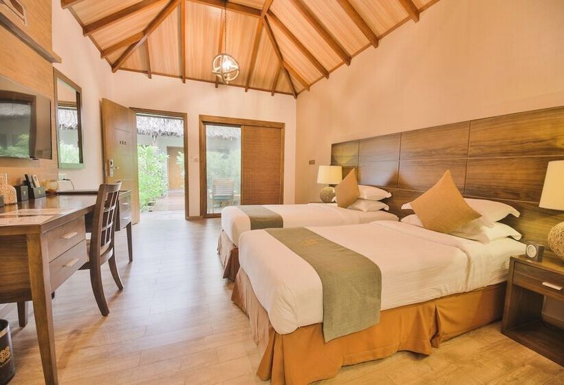 اتاق سوپریور یک تخته, Plumeria Maldives