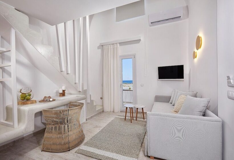 복층 룸, Petri Suites