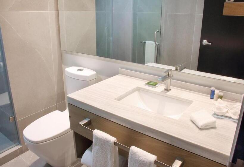 جناح بريميوم, Radisson Hotel Monterrey San Jeronimo