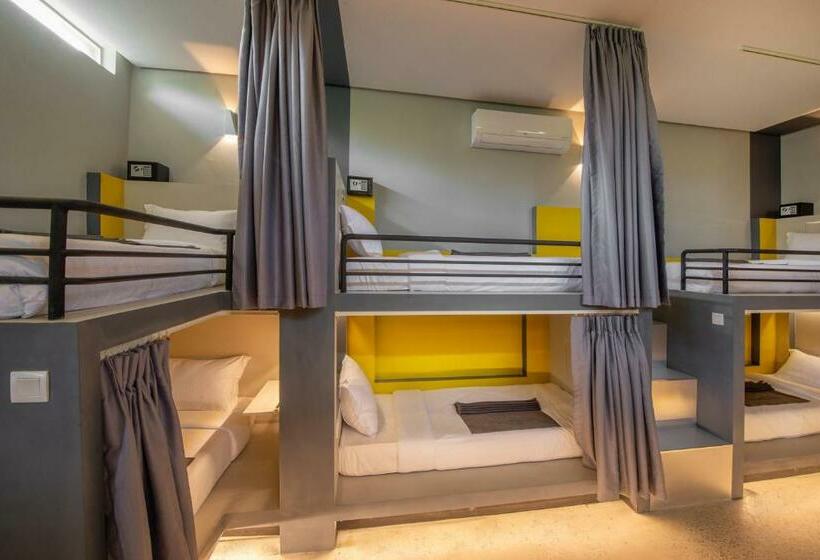 تختخواب در اتاق مشترک, The Twizt   Lifestyle Hostel &