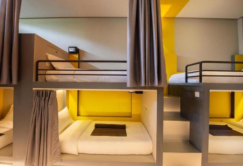 تختخواب در اتاق مشترک, The Twizt   Lifestyle Hostel &