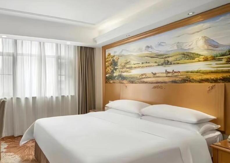 수피리어 룸, Vienna  Shenzhen Honghu Branch