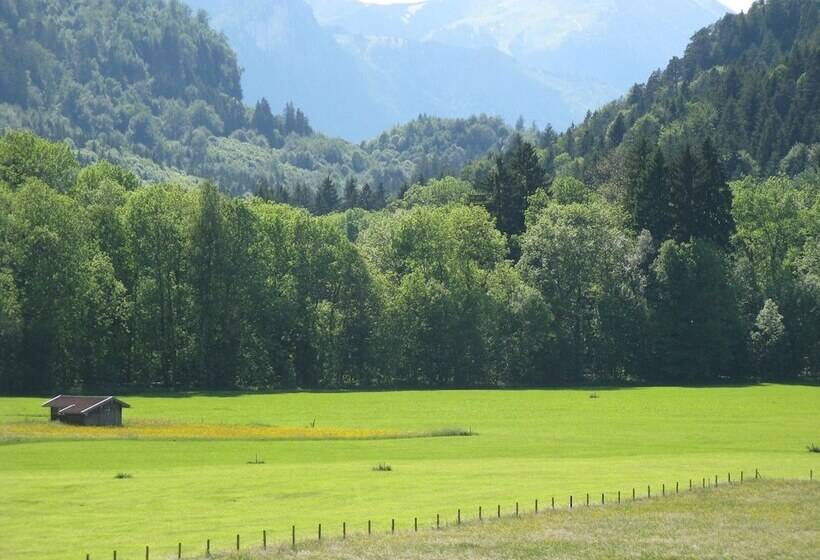 スタンダードシングルルーム, Alpenhotel Allgäu