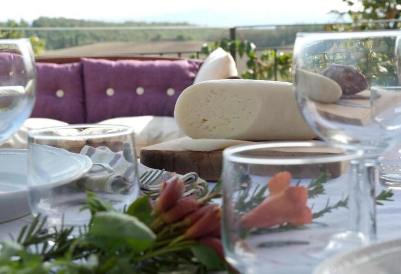 Апартаменты 1 Спальня, Agriturismo Pieve Sprenna