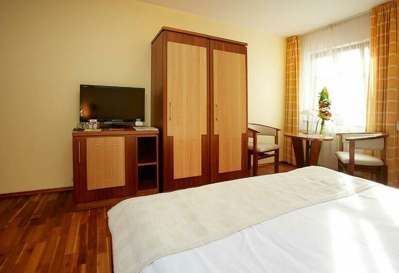 اتاق استاندارد, Penzion Na Hradě