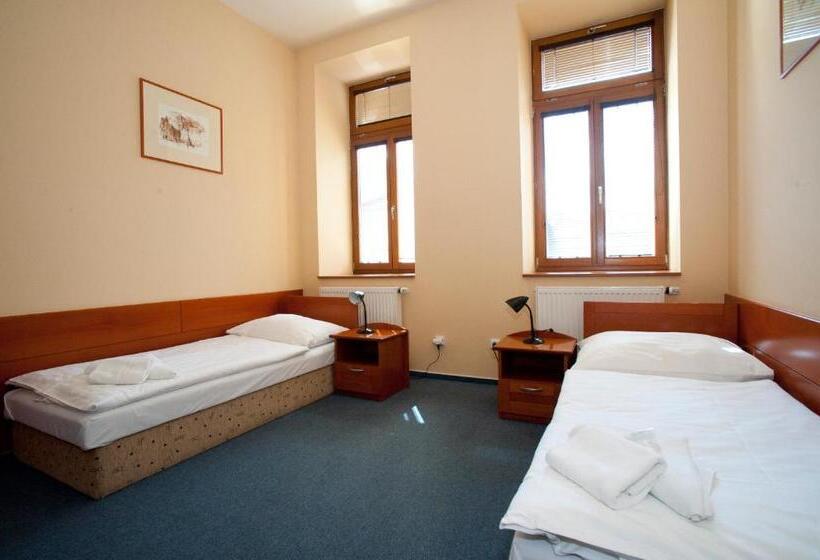 غرفة قياسية, Penzion Zelená žába