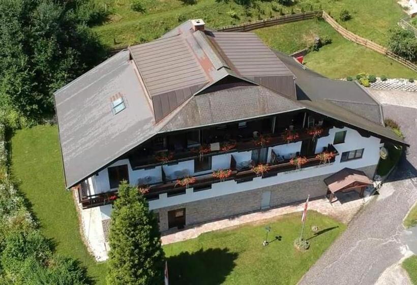 Апартаменты 1 Спальня с Видом, Pension Almhof