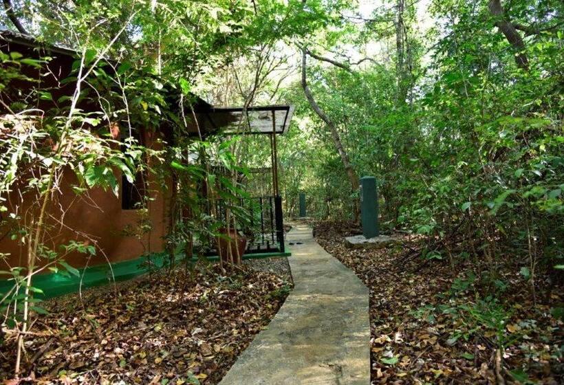 带大床的标准间, Akein Jungle Resort   Sigiriya