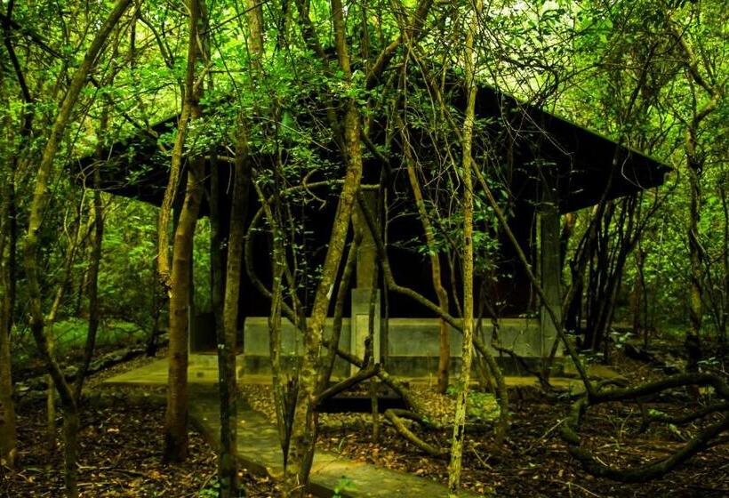 标准房带园景, Akein Jungle Resort   Sigiriya