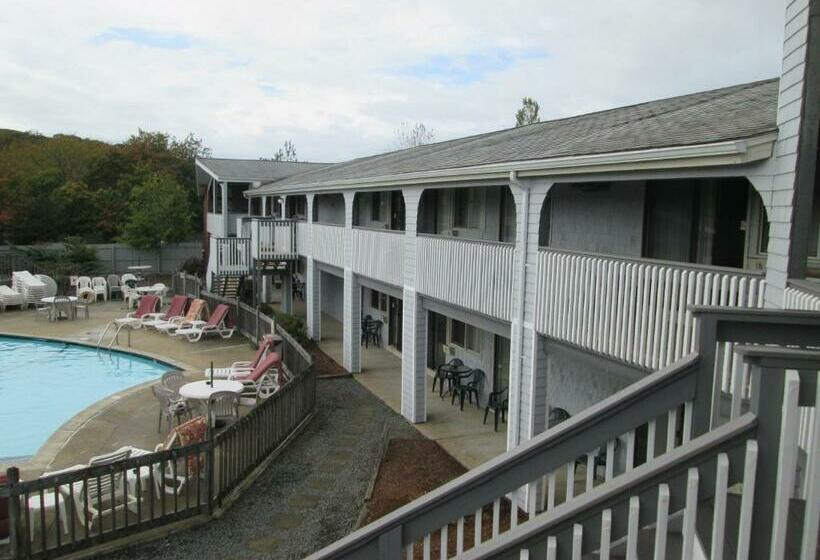 Студия Стандарт, Eastwood At Provincetown