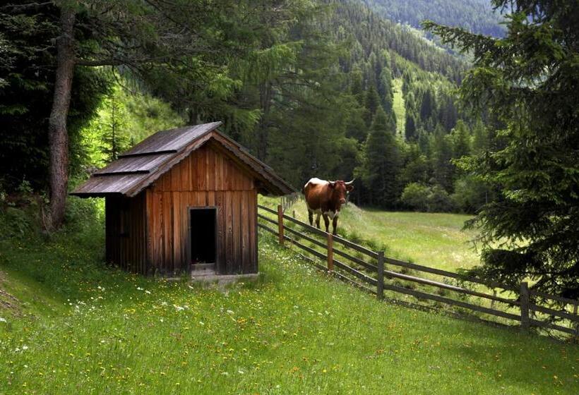 Апартаменты 2 Спальни, Gasserhütte