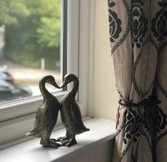 标准间, The Strawbury Duck Inn