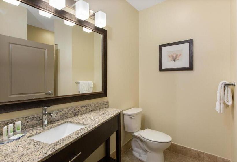 Номер бизнес-класса, Americinn By Wyndham Sioux Falls North