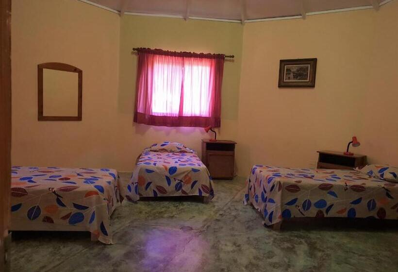 מיטה בחדר משותף, Gipsy Ranch Rooms