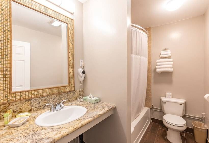 Номер Стандарт 2 Двуспальные Кровати, Vineyard Valley Inn