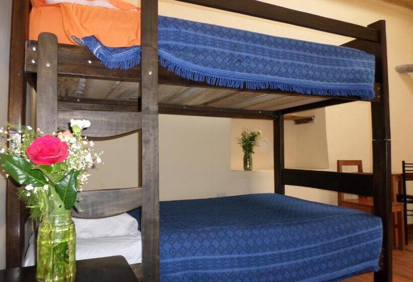 سرير فى غرفة مشتركه, Okidoki Cusco Hostal