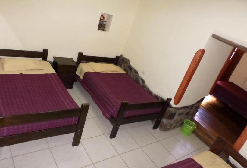 سرير فى غرفة مشتركه, Okidoki Cusco Hostal