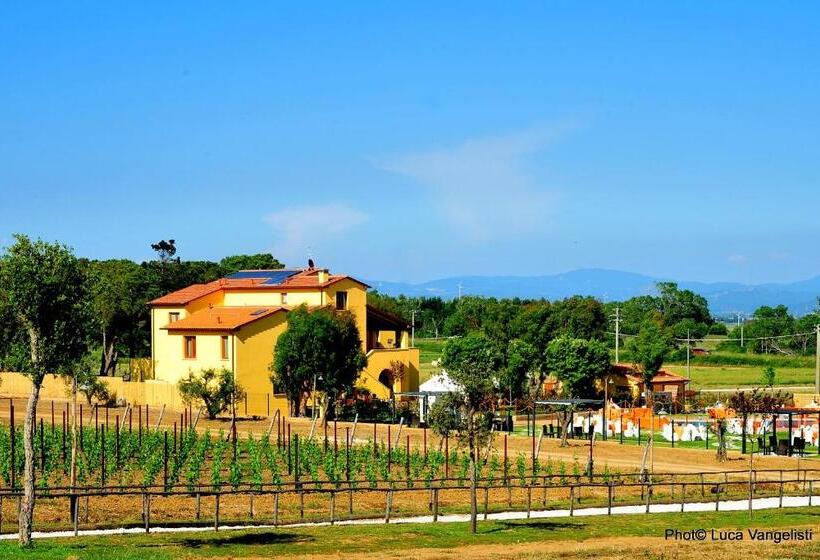 Номер Стандарт, Cascina Al Colle