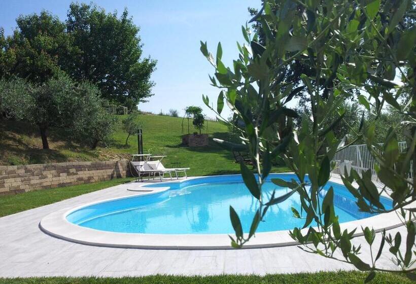 Студия Стандарт, Podere Del Fagiano
